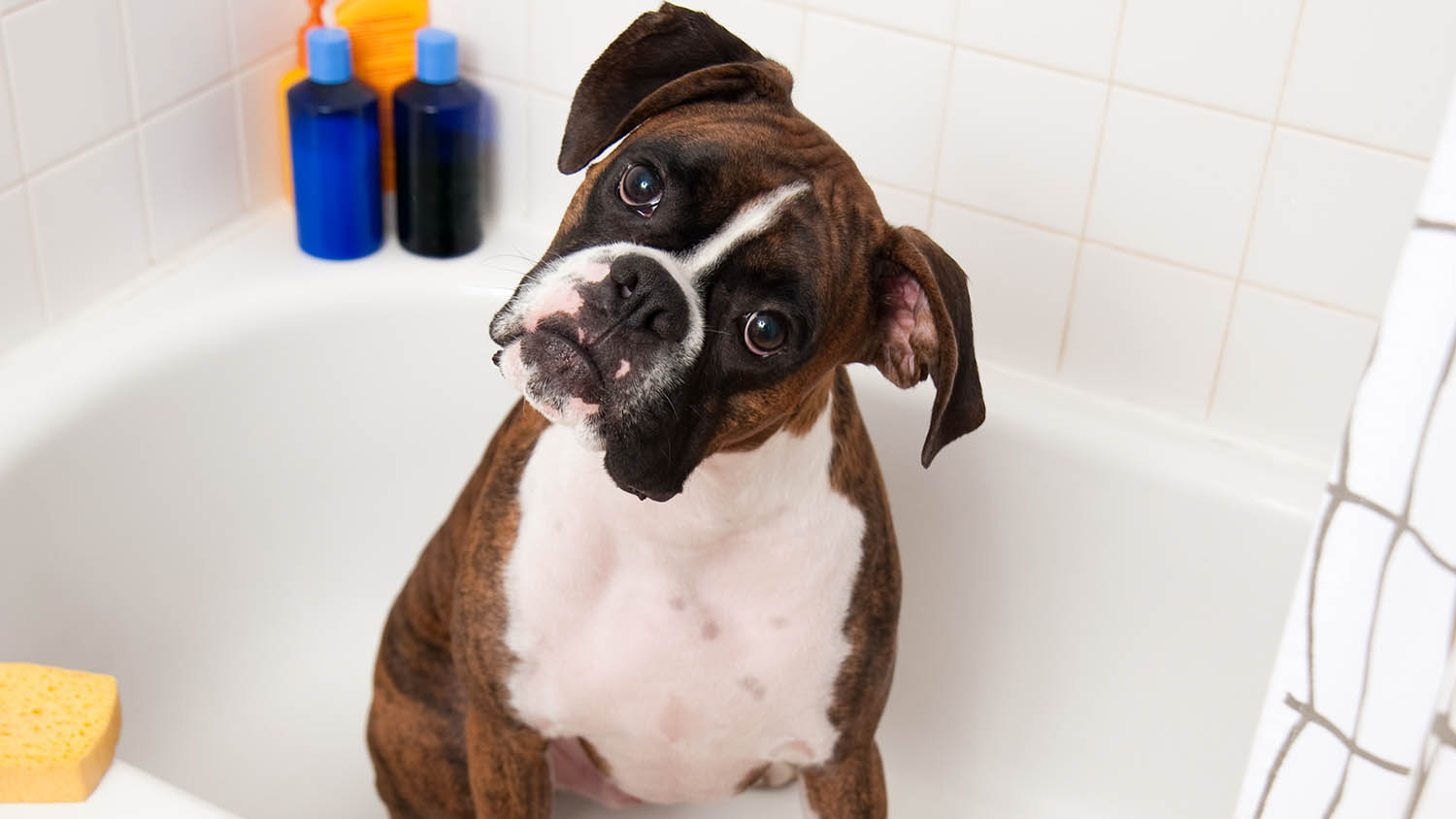 How To Curb Bath Time Fear