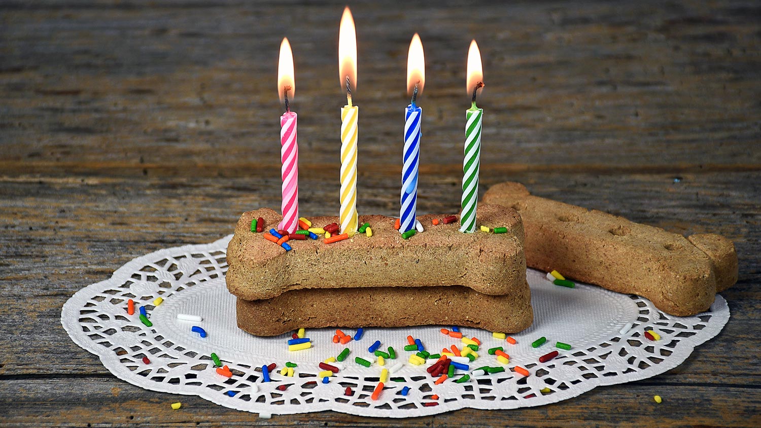 diy dog cake