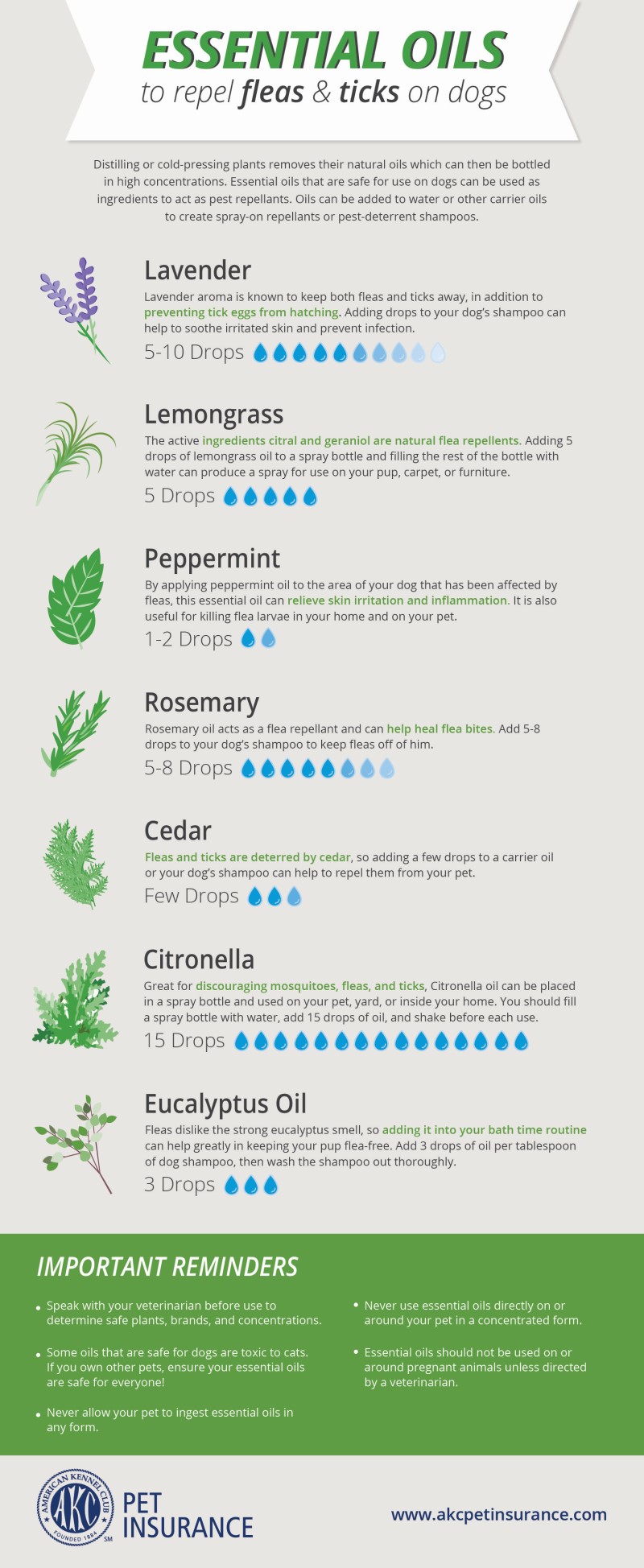 shadow box for dog ashes