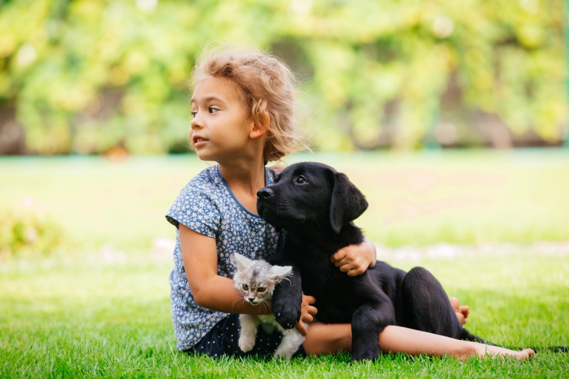 Is Having a Pet with Young Children a Good Idea?