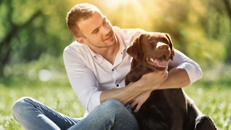 5 Things You Didn’t Think Pet Insurance Would Cover