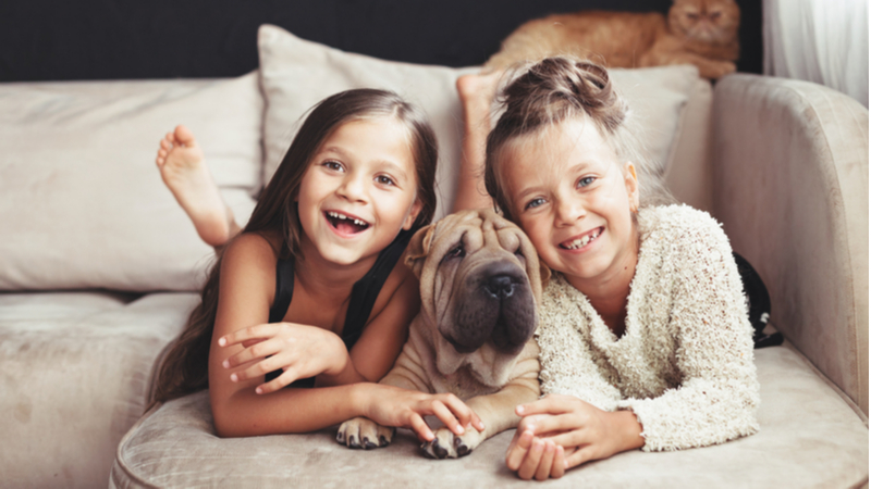 How to Introduce a New Dog to Your Home: Tips & Guidelines